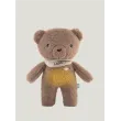 myHummy Bär 5in1 mit Licht  - braun